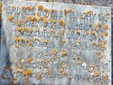 image of grave number 816167